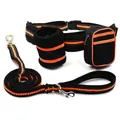 Hands-free running dog leash set with reflective waist bag and shock-absorbing bungee lead - 130-210cm / Orange
