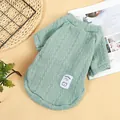 Mintgrüner Zopfstrick-Haustierpullover für Hunde und Katzen mit süßem Bären-Aufnäher - XS / Grün (Bär)