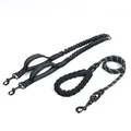 Durable reflective dual bungee dog leash set with comfortable foam handle for walking two pets - Dual Leash Set / Black