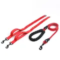 Red reflective dual dog leash set with shock absorbing bungee and foam handle for walking - Dual Leash Set / Red