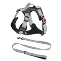 Full set of reflective dog harness and leash shown on a clean white background - M / Harness & Leash Set / Black