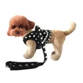 Close-up of black and white polka dot vest harness with matching leash for small dogs. - M / Black Polka Dot
