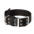 Durable heavy-duty 4-layer nylon dog collar with orange stitching and metal buckle - Belt Buckle Style / 4.0*44-60cm / Black
