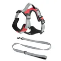 Red mesh dog harness vest with matching grey nylon leash for medium and large dogs - M / Harness And Leash Set / Red