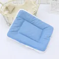 Double-sided blue corduroy and plush mat for small pets like hamsters. - Size 1 (24*18cm) / Sky Blue