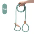 Heavy-duty integrated turquoise P-rope slip lead dog leash for small to large dogs - 6mm*150cm / Cyan
