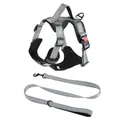 Professional grey reflective dog harness and matching leash set for medium dogs - M / Harness And Leash Set / Gray