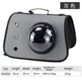 Portable grey space capsule pet carrier bag for cats and small dogs, 40x26x30cm - Triple Hole Style / Gray