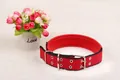 Detail view of a red and black padded adjustable dog collar with durable metal buckle - Collar Only / 1.5cm / Red With Black Edges