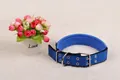 Detail shot of a blue adjustable nylon pet dog collar with heavy-duty metal double buckle - Collar Only / 3cm / Blue With Black Border