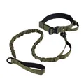 Militair tactische hondenhalsband en bungee hondenriem set in olijfgroen voor grote honden - M / Tactische Halsband en Riem Set / Legergroen