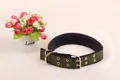 Close-up view of military green nylon dog collar with metal buckle and soft padding - Collar Only / 3cm / Military Green With Black Edge