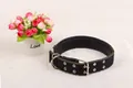 Close-up of durable nylon dog collar with dual row metal eyelets and silver buckle - Collar Only / 3cm / Black With Military Green Edge