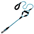 Heavy-duty blue reflective dog leash with dual soft padded foam handles - Sky Blue