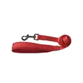 Detaillierte Ansicht einer roten Hundeleine aus Nylon mit einem robusten Metallkarabiner - S / Einzelne Leine / 150cm / Rot