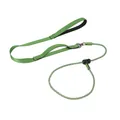 Close-up detail view of durable green dual-handle dog leash with integrated P-chain design - Green
