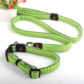 Neon green reflective dog leash and collar set made of breathable padded mesh material - 2.0*120cm / Texture 1 - Grass Green