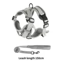 Close-up of a breathable grey dog harness set with a matching 150cm long leash - S / Harness And Leash Set / Gray