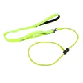 Detailed view of the neon yellow P-chain dog slip lead with black adjustable stoppers - Fluorescent Green