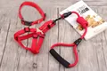 Detailansicht eines langlebigen roten Hundegeschirrs und Leinen-Sets mit Polster - Leine Geschirr Und Halsband / 6mm*120cm / Rot