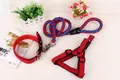 Komplettes Set aus rotem Hundegeschirr, Halsband und geflochtener Leine für Hunde. - XS / 3-teiliges Set (Leine+Geschirr+Halsband) / Rot-Blaues Geflecht