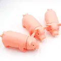 Langlebiges rosa Schweine-Quietschspielzeug für Hunde zur professionellen Zahnreinigung - Quietschendes Schweinchen Klein / Zufällige Farbe