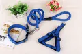Detailansicht eines blauen geflochtenen Hundeleinen-Sets mit Geschirr und Halsband - XS / 3-teiliges Set (Leine+Geschirr+Halsband) / Blau