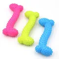 Quietschende Hundekauspielzeuge in Knochenform in Pink, Grün und Blau zur Pflege. - Kleiner Knochen / Zufällige Farbe