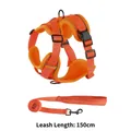 Helles oranges reflektierendes Hundegeschirr und 150 cm Leinenset für kleine Tiere - S / Geschirr Und Leine Set / Orange