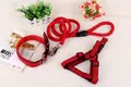 Detailansicht der roten geflochtenen Hundeleine mit passendem Halsband und Geschirrset für Hunde - XS / 3-teiliges Set (Leine+Geschirr+Halsband) / Rot