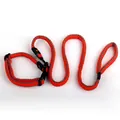 Durable reflective orange dog leash and collar set for safe outdoor walking and training - 2.0*120cm / Texture 1 - Orange