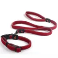 Premium reflective red dog leash and collar set with breathable honeycomb mesh padding - 2.0*120cm / Texture 1 - Red