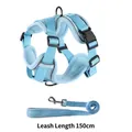 Detailed close-up showing the 150cm long durable leash of this blue pet harness set - S / Harness And Leash Set / Sky Blue