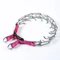 Collar de adiestramiento profesional metálico con correa de nailon rosa reflectante y hebilla - Ajuste regular / 2.5mm*35cm / Rojo Rosa Reflectante