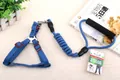 Strapazierfähiges blaues Hundegeschirr mit elastischer Leine und weichem Schaumstoffgriff - Geschirr- und Leinen-Set / 6mm*120cm / Dunkelblau