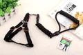 Schwarzes Bungee-Hundeleinen- und Geschirrset mit Schaumstoffgriff und sicheren Schnallen - Geschirr- und Leinen-Set / 6mm*120cm / Schwarz