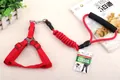 Nahaufnahme einer roten elastischen Hundeleine mit gepolstertem Griff und verstellbarem Brustgeschirr - Geschirr- und Leinen-Set / 8mm*120cm / Rot