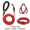 Detailansicht des 3-teiligen roten Hundeleine-, Geschirr- und Halsband-Sets für Hunde - S / Dreiteiliges Set / 6mmx1.5m / Rot