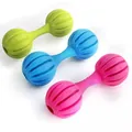 Set of durable TPR rubber barbell dog toys for cleaning teeth in green blue and pink colors - TPR Linear Barbell / Yellow
