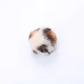 Interactive leopard print plush cat toy ball infused with premium natural catnip - Diameter approx 5cm / Brown Leopard