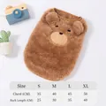Cute plush brown bear pet sweater with detailed size chart for small dogs and cats - S / Brown