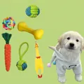 Set di giocattoli in corda di cotone per cani con carota e palla - Set Giocattoli Anti-Distruzione per Cuccioli