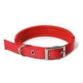 Adjustable red reflective nylon pet collar with comfortable foam padding for small dogs - 1.5cm / Red