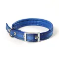 Durable blue reflective nylon dog collar with soft foam padding and metal buckle - 1.5cm / Blue