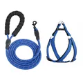 Blaues geflochtenes Hundeleinenset mit passendem Brustgeschirr auf weißem Hintergrund. - S / Geschirr-Set / 6mm*1.5m / Blau