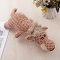 Durable brown plush squeaky dog chew toy with textured corn fleece fabric and mane. - Lion