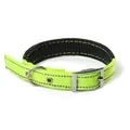 Reflective neon green nylon pet collar with comfortable black padding and buckle. - Fluorescent Green