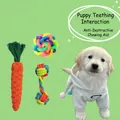 Assorted set of 3 durable cotton rope and ball dog chew toys for interactive training - Pet Universal Collection