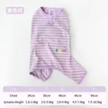 Purple and white striped four-legged pet suit with BUNNY patch and leash ring. - XS / Purple