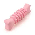 Pink TPR dog chew toy with textured ridges for dental cleaning and teething relief. - Double-Tail Fish Bone / Khaki Red
